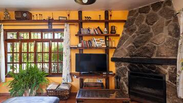 TV, fireplace