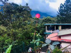 Outdoor banquet area