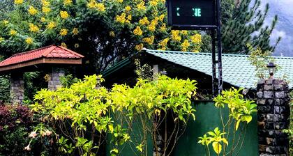 Hamadhi Guest