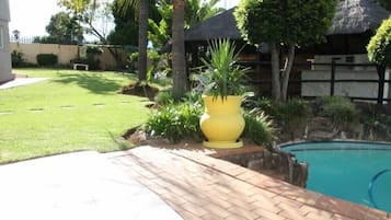 Outdoor pool, sun loungers