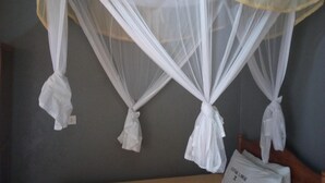 A bed with a mosquito net above it.