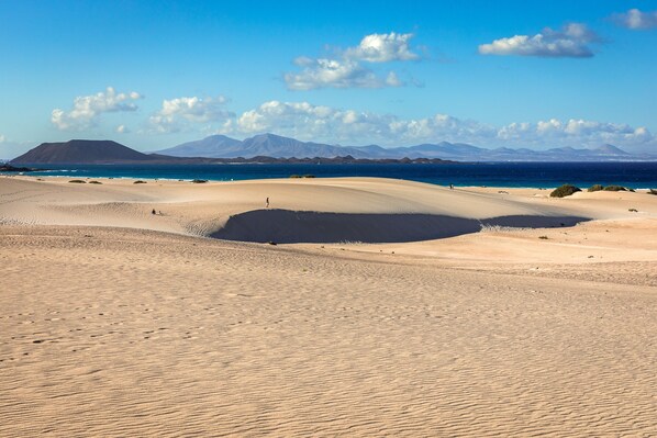A desert landscape with sand dunes and a clear sky.