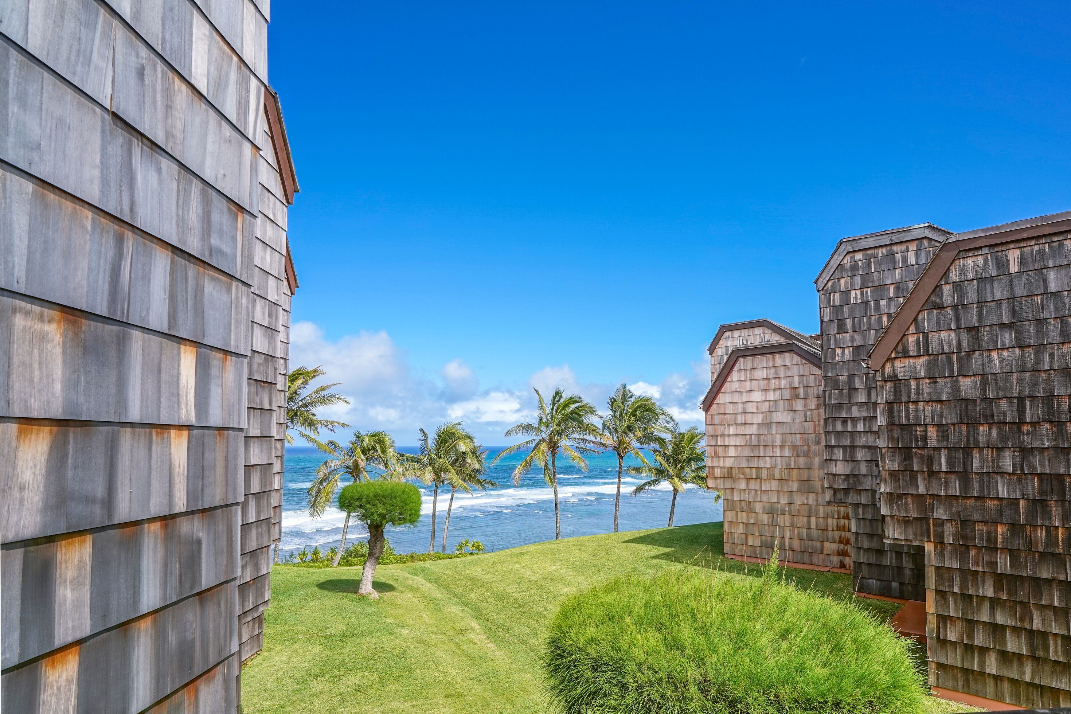 A building with a view of the ocean and palm trees.
