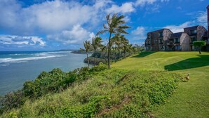 A coastal view with a grassy area, palm trees, and a modern building with multiple balconies overlooking the ocean. - Sealodge H5: Delightful Oceanview Condo, Close to Beaches & More (Princeville)