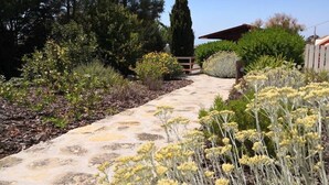 A stone pathway leading through a garden with various plants and trees.