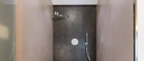 A narrow shower area with a dark tiled wall, a showerhead, and a control panel.