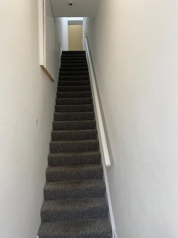 A carpeted staircase with a handrail, leading to a door at the top.