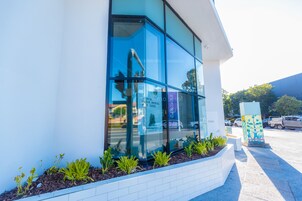 A modern building with large glass windows, a white exterior, and a landscaped area with plants.