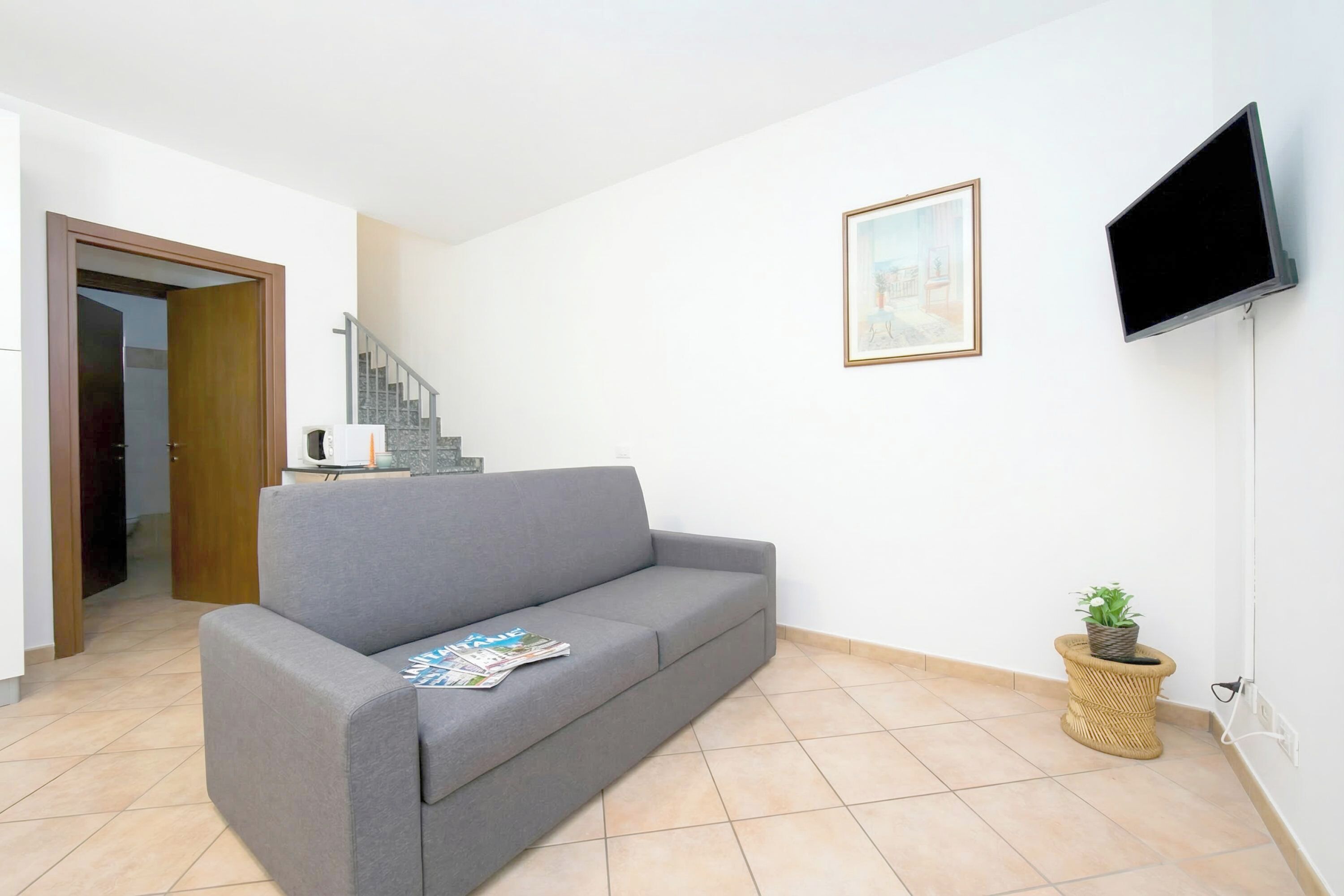 22-英寸纯平电视 （配备数码频道）、电视