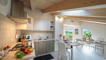 Family Apartment, Multiple Bedrooms, Lakeside (Silver Lake Apartment) | Private kitchen | Full-sized fridge, microwave, oven, stovetop