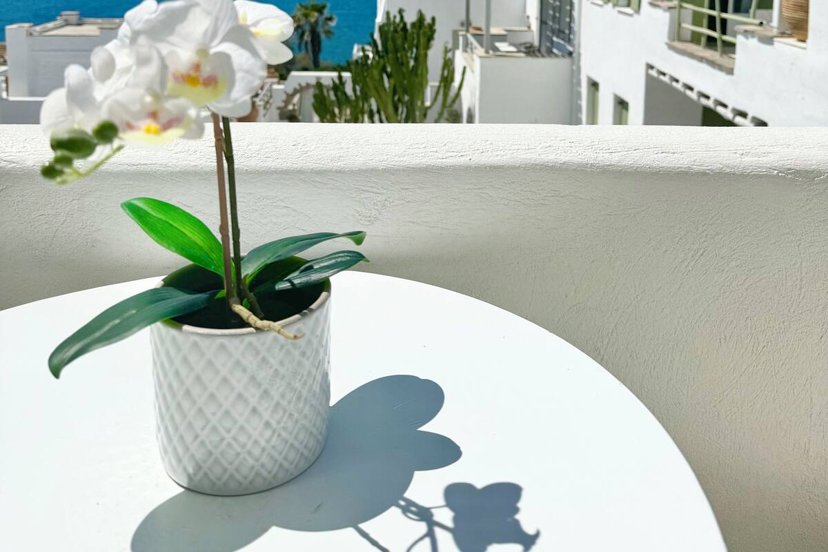 A potted orchid on a balcony overlooking a coastal view with white buildings and a clear blue sky.