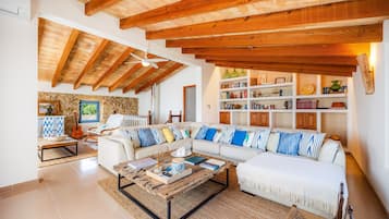 Televisión, chimenea