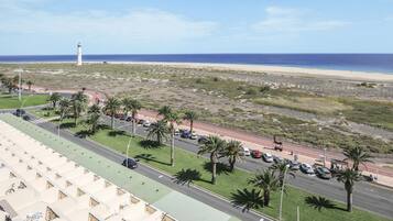 A coastal road with a beach, a lighthouse, and a row of palm trees.