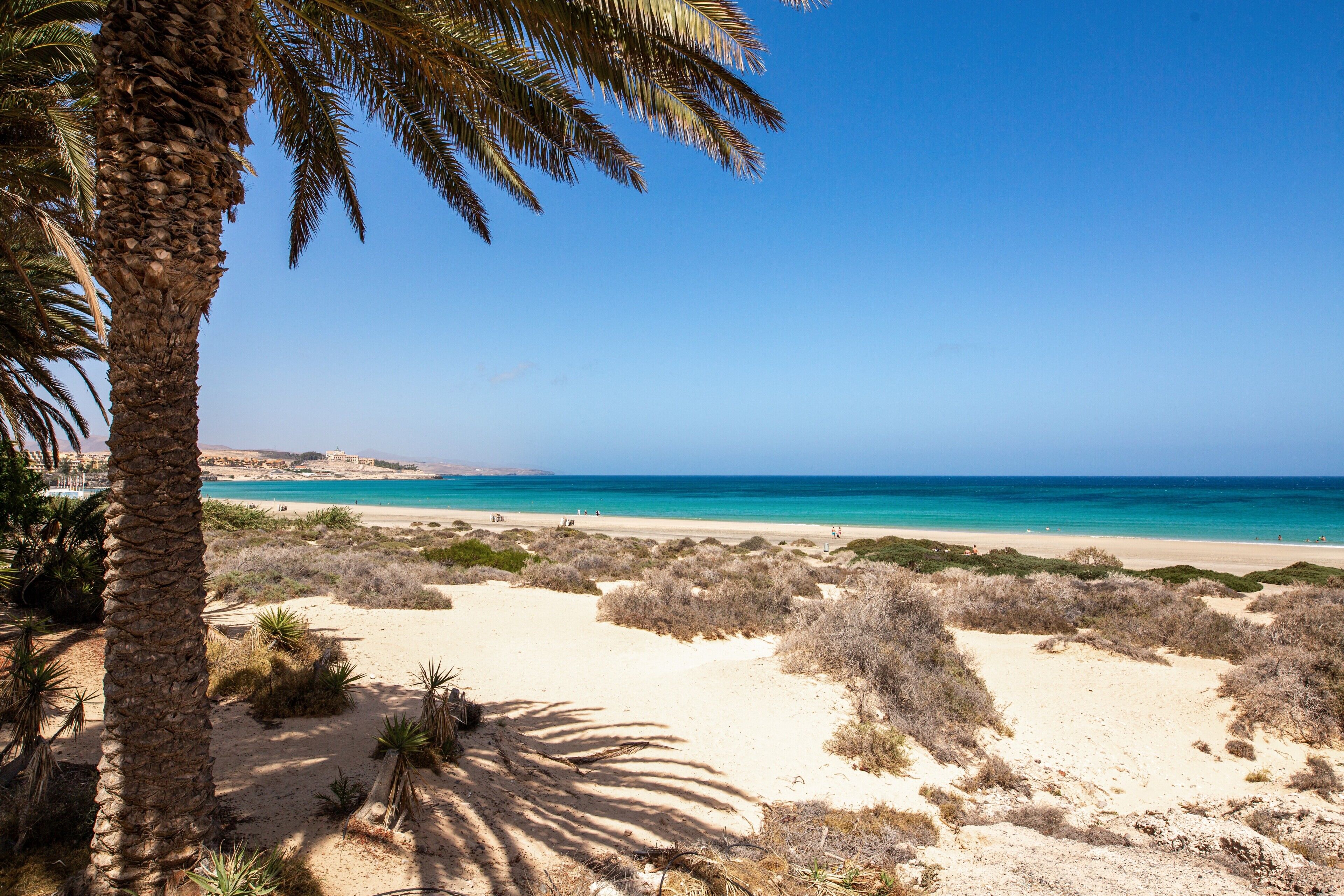 A beach with sand dunes, sparse vegetation, and a clear blue sky. - Lovely Apartment Close to the Beach with Terrace, Garden & Wi-Fi (Costa Calmar, Fuerteventura)