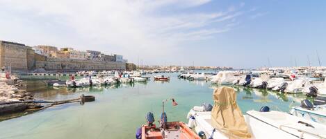A marina with boats docked, a stone wall, and buildings in the background.