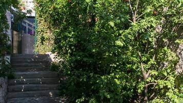 Apartment (One Bedroom Apartment) | Exterior