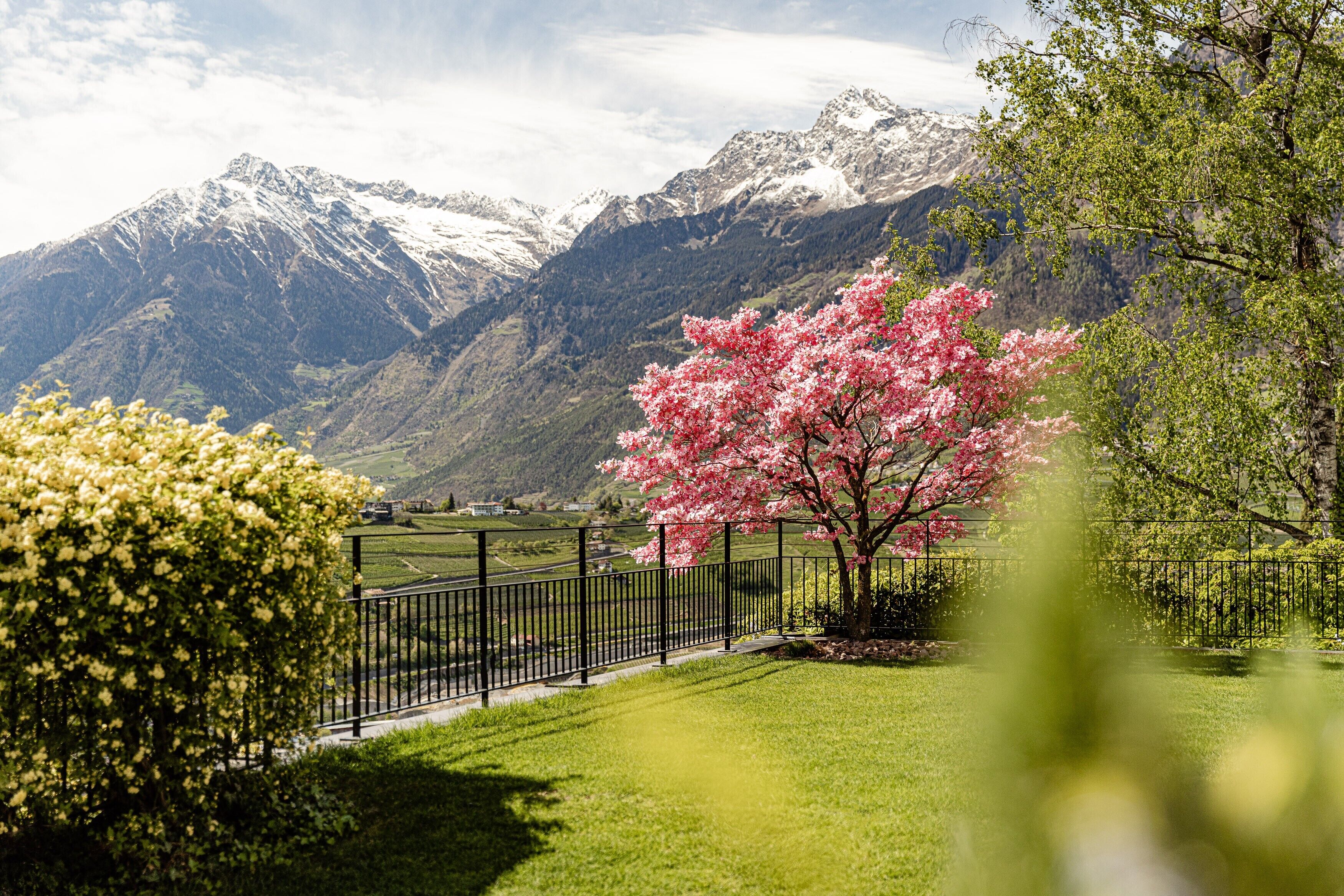 Áreas de la propiedad