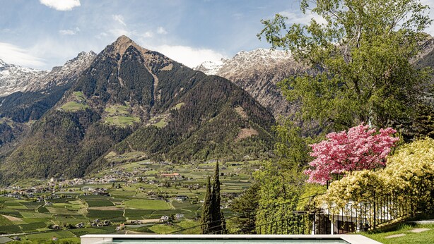 Une piscine avec vue sur les montagnes, un arbre aux fleurs roses et un village lointain.
