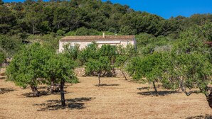 Une maison entourée d’arbres, au milieu d’un champ aride.