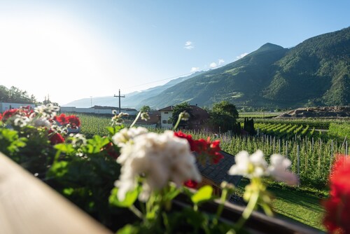 Cozy Holiday Apartment "Pixnerhof Golden" on a Farm with Wi-Fi & Mountain View