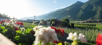 Cosy Apartment “ Pixnerhof Golden” on a farm with Wi-Fi & Mountain View