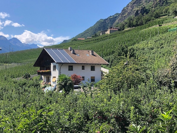Una casa con paneles solares, rodeada de abundante vegetación y montañas.