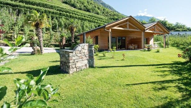 Una cabaña de madera con base de piedra, rodeada de un césped cuidado y un viñedo.