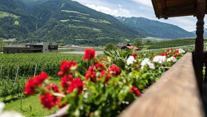 Viñedo con flores rojas en primer plano, un edificio moderno y montañas al fondo.