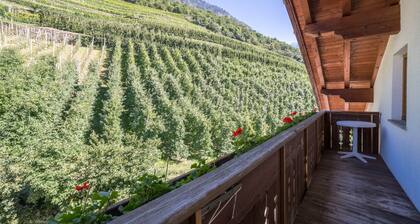 Cosy apartment “Pixnerhof - Topaz” on a farm with Wi-Fi & Mountain View
