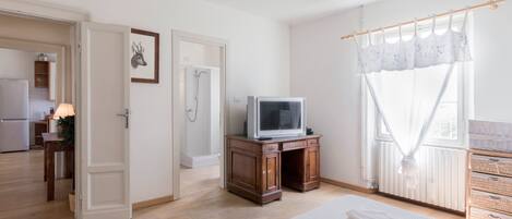 A bedroom with a bed, a television, a shower, and a view of the outside.