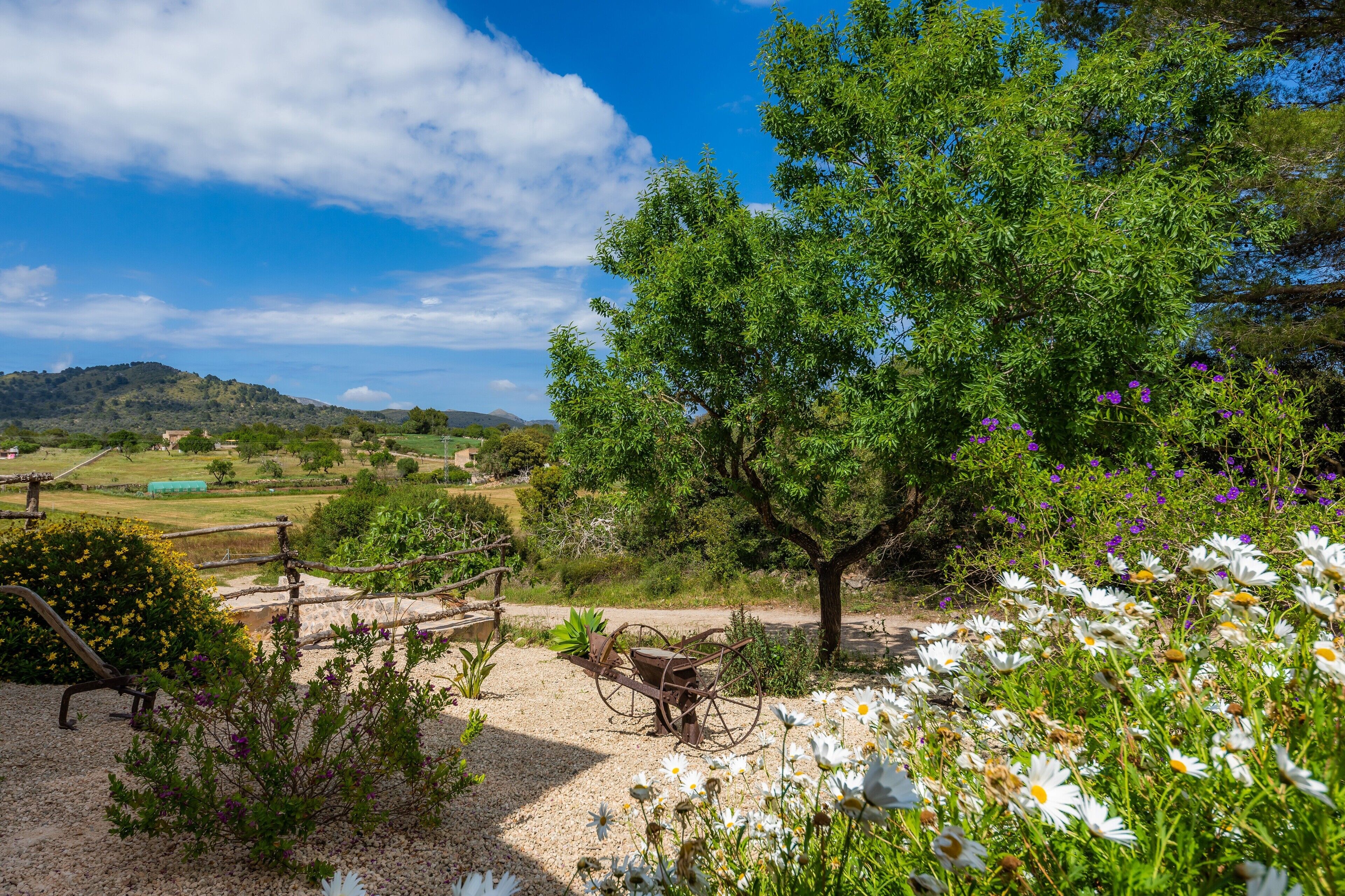 Paisaje rural con un árbol, flores y un carro de madera.