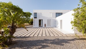 Un bâtiment moderne de couleur blanche, doté d’une entrée pavée, d’une petite plante en pot et d’un grand arbre situé à gauche.