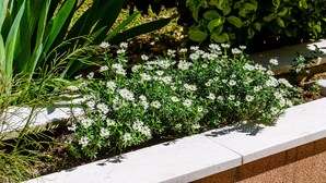 Leilighet (One Bedroom Apartment with Terrace) | Terrasse/patio