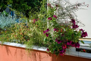 Appartement (One Bedroom Apartment with Terrace) | Exterieur