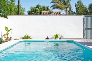 Une piscine avec un mur blanc et des plantes qui l’entourent.