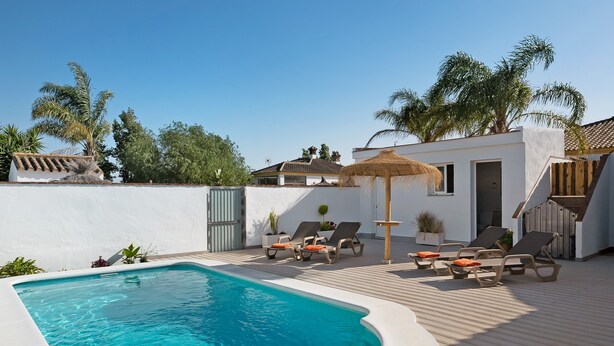 A swimming pool with lounge chairs and a pergola, surrounded by a white wall and palm trees.