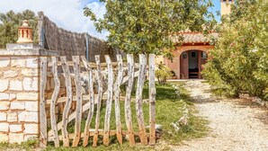 A rustic stone wall, a wooden gate, a pathway leading to a building with an arched entrance, and a tree-lined area. - Country house "Sa Barraca d'en Camine" with pool in the nature (portopetro)
