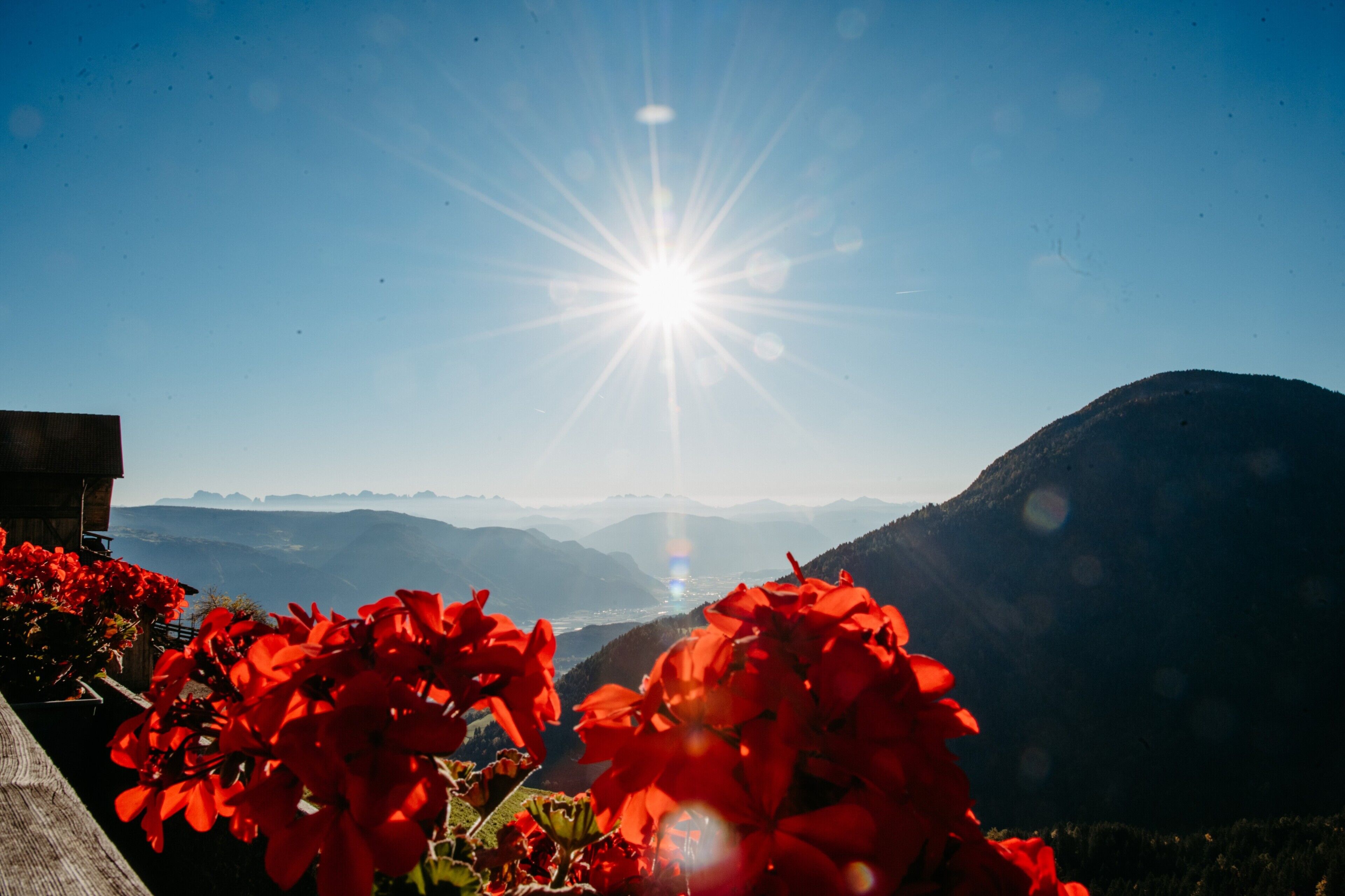 A mountain landscape with a bright sun in the sky and red flowers in the foreground.