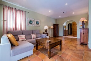 電視、DVD 播放機