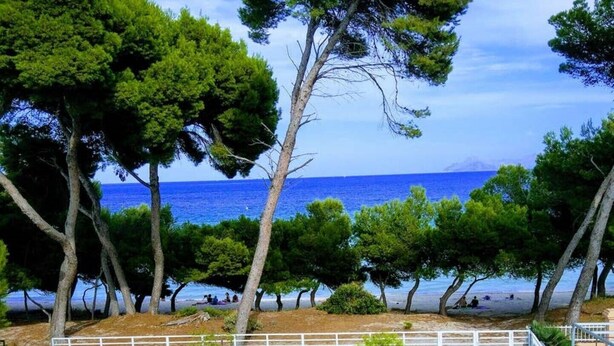 Vista sulla costa con alberi, un recinto bianco e cielo azzurro intenso.
