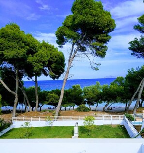 A coastal view with trees, a white fence, and a clear blue sky.