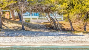 Una spiaggia con alberi, un edificio e una vista limpida sull'oceano.