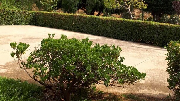 A paved pathway with a hedge and trees in the background. - B&B Porta del Gargano (San Marco in Lamis)