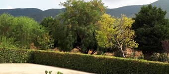 B&B Porta del Gargano