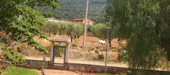 B&B Porta del Gargano