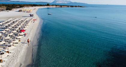 Appartement de vacances de rĂȘve avec vue sur mer - Villa Ambra