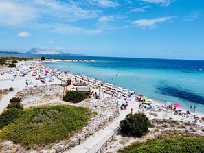 Playa en los alrededores 