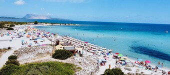 Dreamlike apartment with sea view - Villa Ambra