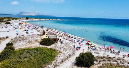 Dreamlike apartment with sea view - Villa Ambra