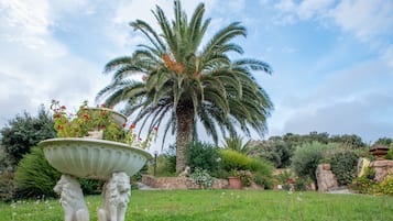 Áreas de la propiedad